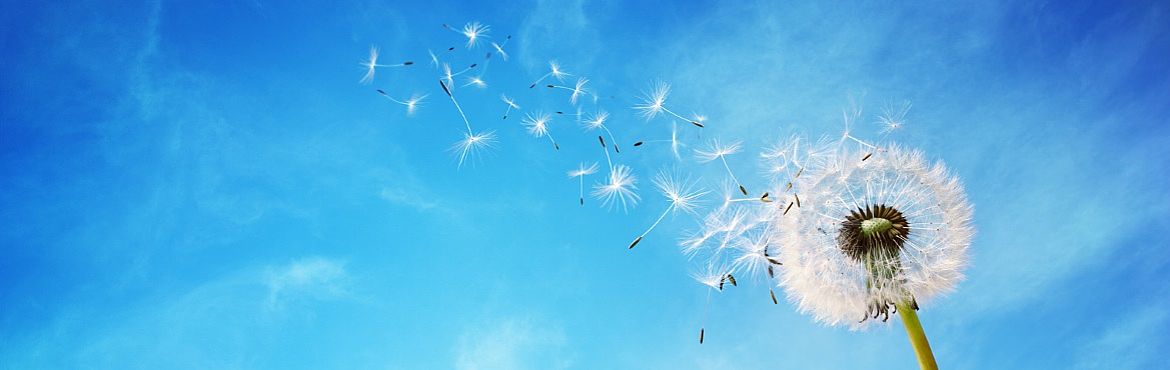 ISO 14001: 2015 Экологический менеджмент